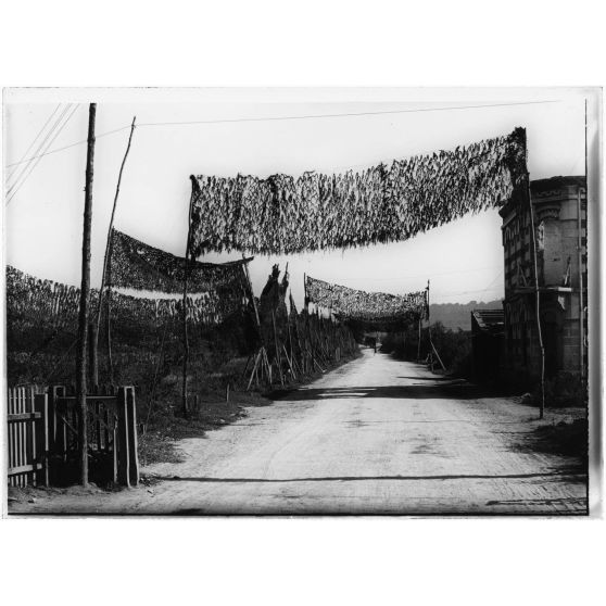 Route camouflée, entre Coucy-le-Chât. et Coucy-la-Ville. Aisne, 1917. [légende d'origine]