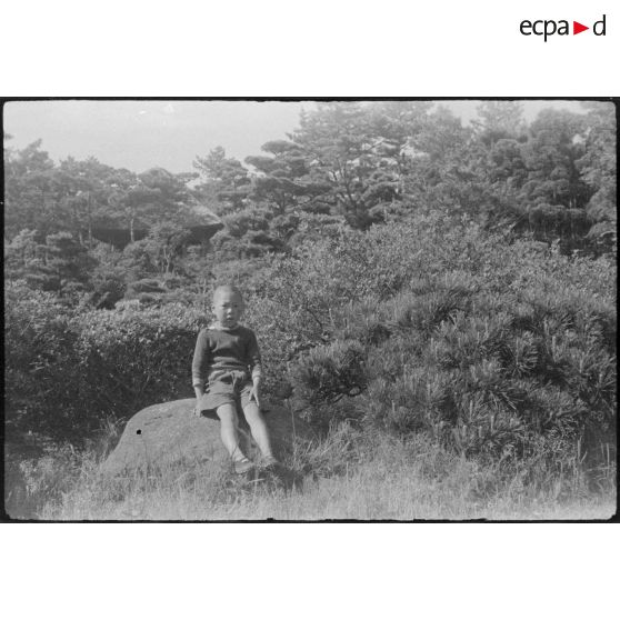 [Région d'Osaka, juin 1946.]