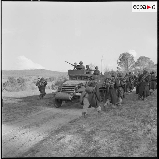 Opération Saïda n°1. Véhicule half-track M3A1.