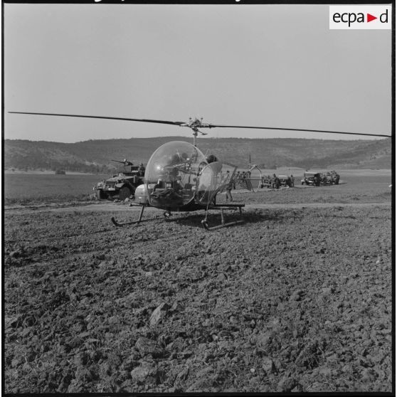 Opération Saïda n°1. Un hélicoptère Bell 47 G.