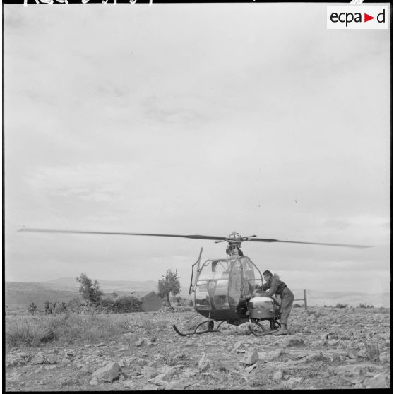 Massif de Bou-Hamrah. Opération "Couronne". Pilote d'un hélicoptère Djinn.