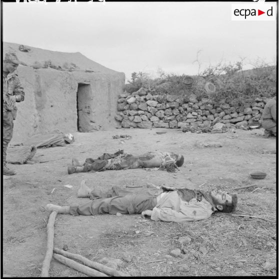 Massif de Bou-Hamrah. Opération "Couronne". Cadavres de soldats de l'armée de libération nationale (ALN).