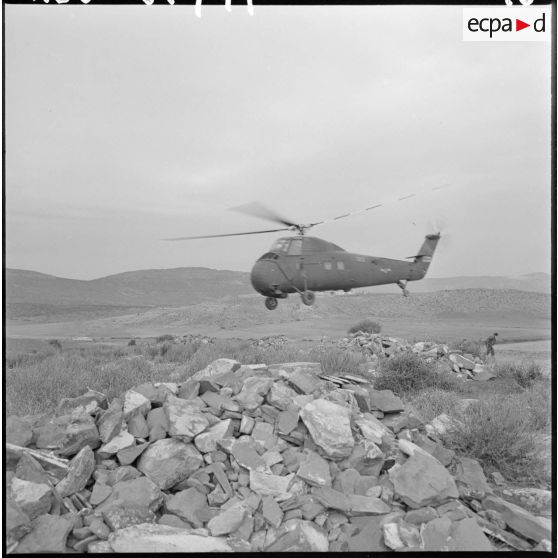 Opération dans la région de Sidi-Mimoun, monts de Saïda. Hélicoptère Sikorsky H-34.