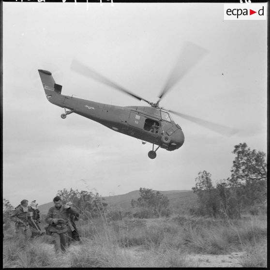 Opération dans la région de Sidi-Mimoun, monts de Saïda. Hélicoptère Sikorsky H-34.