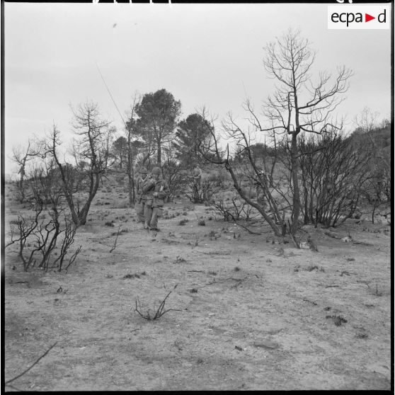 Opération dans la région de Sidi-Mimoun, monts de Saïda. Progression d'une unité.