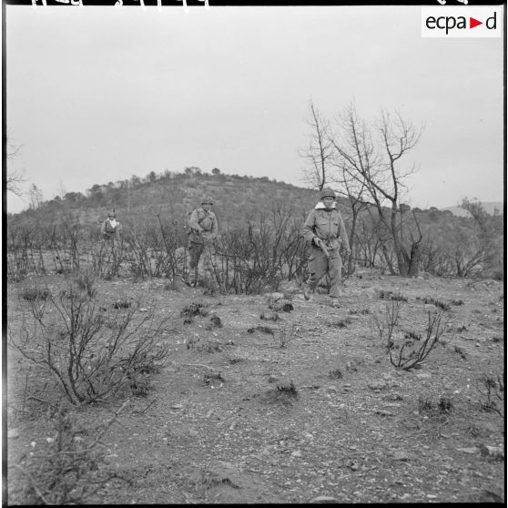 Opération dans la région de Sidi-Mimoun, monts de Saïda. Progression d'une unité.