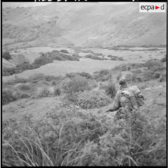 Opération dans le sud de Tenes. Malgré les difficultés du terrain, aucun buisson n'est laissé de côté.