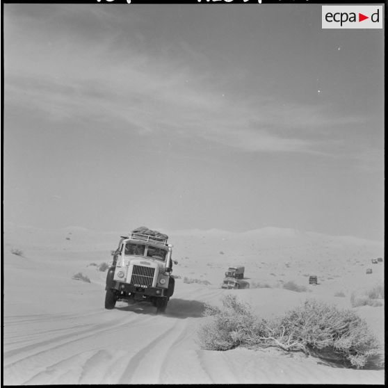 Grand Erg oriental. Le convoi roule dans la région des Grandes Dunes. En tête de la colonne, les "Gazelles" Berliet.