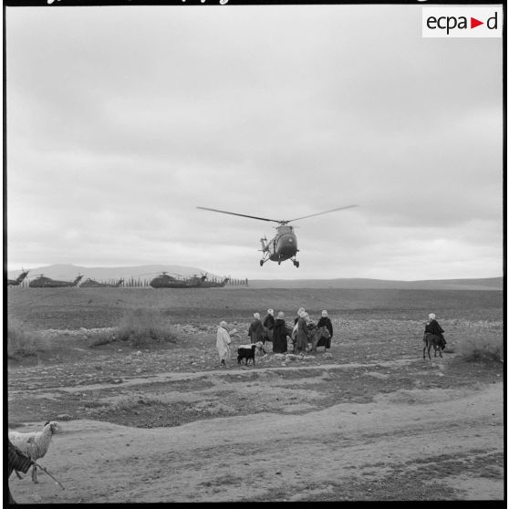 Région de Frenda. Des hélicoptères Sikorsky H-34 atterrissent dans un champ à côté de villageois.