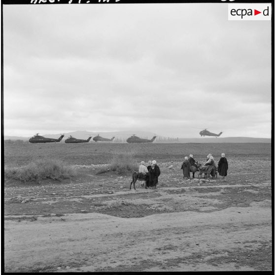 Région de Frenda. Des hélicoptères Sikorsky H-34 atterrissent dans un champ à côté de villageois.