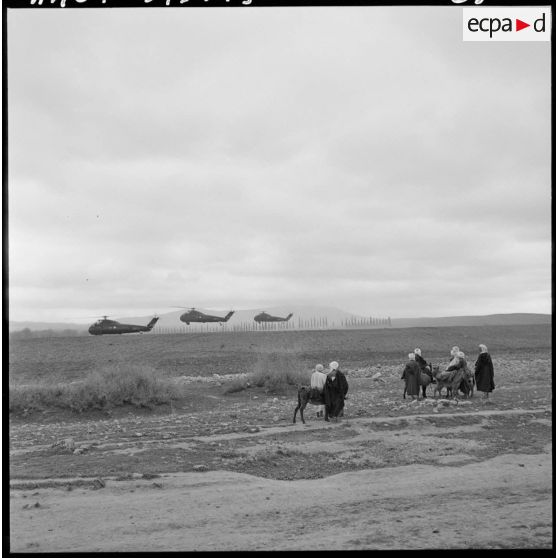 Région de Frenda. Des hélicoptères Sikorsky H-34 atterrissent dans un champ à côté de villageois.