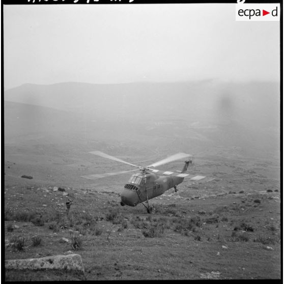 Région de Frenda. Hélicoptère Sikorsky H-34.