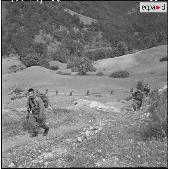 Opération Lilas. Miliana. Progression des commandos de chasse.