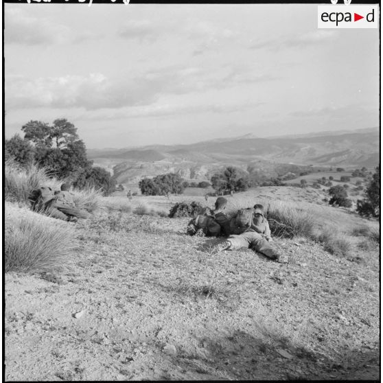 Opération Lilas. Miliana. Progression des commandos de chasse.