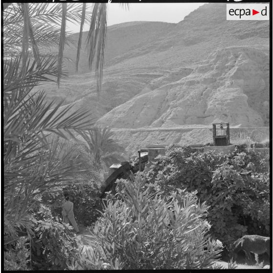 Un moulin près de Bou Saâda.