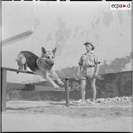 Portrait d'un appelé du contingent de la classe 57 2/B, maître-chien, originaire de Sommeron dans l'Aisne et cultivateur dans le civil.