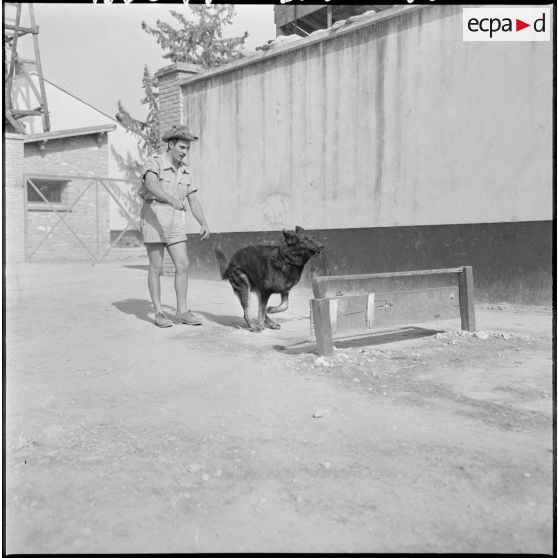 Portrait d'un appelé du contingent de la classe 58 I/C, maître-chien, originaire d'Acq dans le Pas-de-Calais et cultivateur dans le civil.