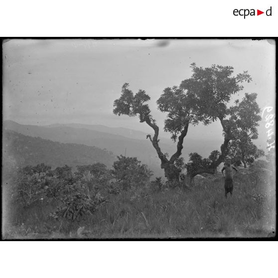 Route de Bana à Foumban. Aspect de la contrée à 3 H au sud du Noun. [légende d'origine]