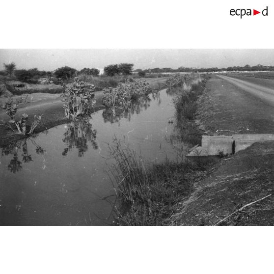 République du Sénégal, région de Saint-Louis, 1980. Canal principal de la zone irriguée de la Saed.