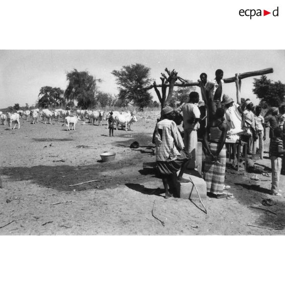 République du Sénégal, 1979. Station de pompage villageoise (pompes Verguet à pied) dans la région de Ghandiaye.