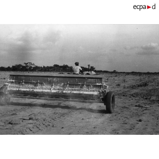 République du Sénégal, Sefa, 1954. Culture mécanisée de l'arachide. Epandage d'engrais minéraux avant le déchaumage.