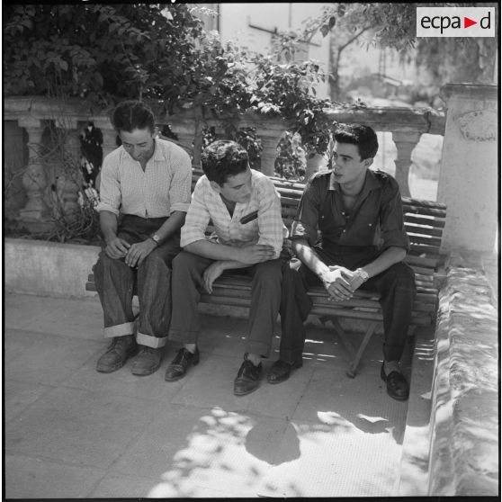 Portrait de trois postulants harkis.