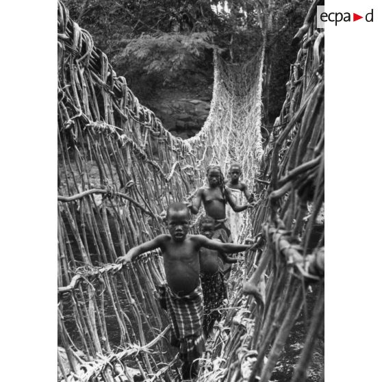 République de Côte d'Ivoire, Korhogo, 1962. Pont de lianes.