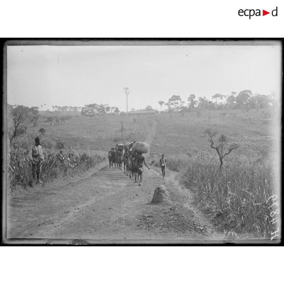 Route de Bana à Foumban. Tchindou, le campement. [légende d'origine]