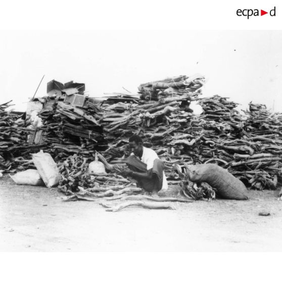 Djibouti, 1984. Vente de charbons de bois à Djibouti (sur un pont).