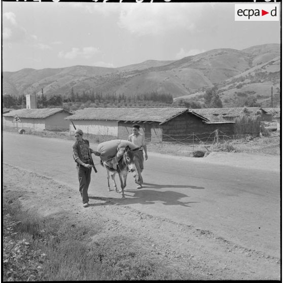 Un membre du groupe d'auto-défense de Taliouine, située dans la région de Palestro, supervise l'arrivée d'un âne chargé d'un sac de céréales.