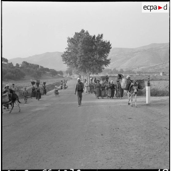 La population de Taliouine, sur la route de Palestro située dans la vallée de l'Oued Isser, circule sous la protection du groupe d'auto-défense.