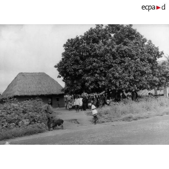 République du Dahomey, village de Zihan, 1957. L'arbre à palabres du village.