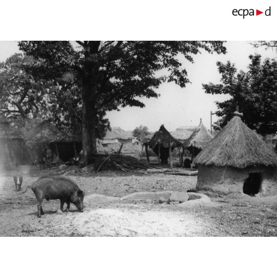 République togolaise, Blitta, 1954. Village Kabre.