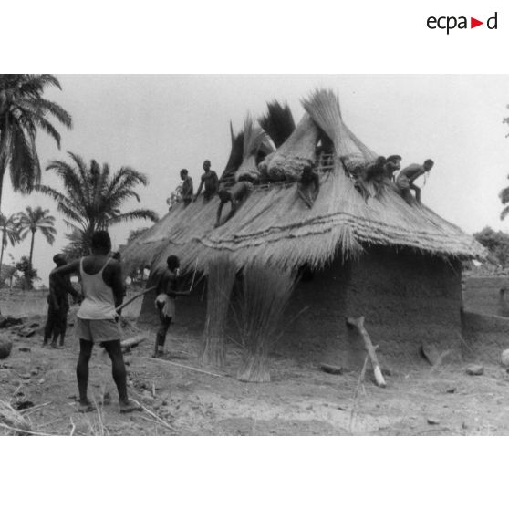 République togolaise, région de Koumea, 1953. Couverture d'une case avec de la paille de brousse, en pays Kabre.