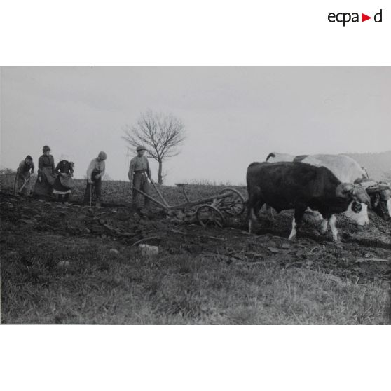 441. Saint-Michel. Les Etienne. 25 avril 1916. [légende d'origine]