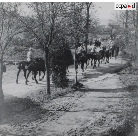 447. Marzelay. 4e R[égiment d'] A[rtillerie] C[oloniale]. 26 avril 1916. [légende d'origine]