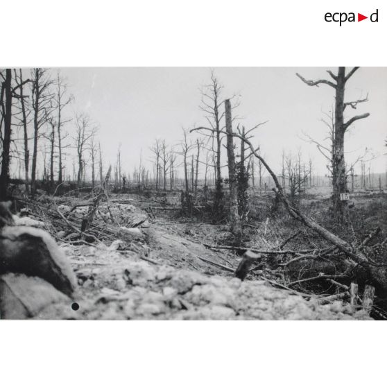 739. Argonne. Positions allemandes face 3e C[ompagni]e. Oct[obre 1916]. 14 h. [légende d'origine]