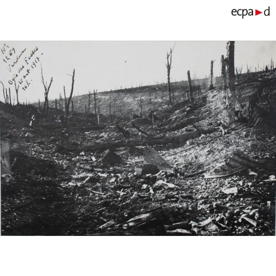 N[umér]o 1269. Verdun. Bois des fosses. 15 oct[obre] 1917. 16 h. [légende d'origine]