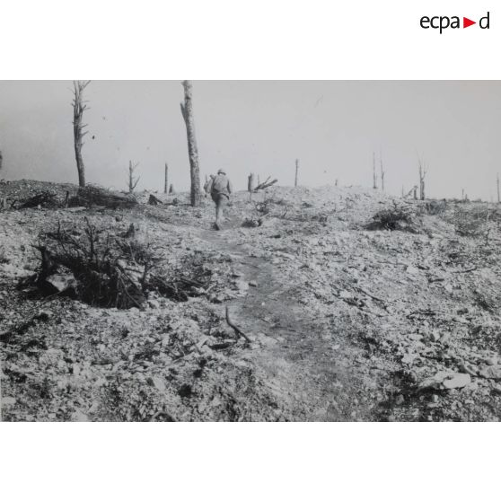 1272. Bois des Fosses. Coureur sur la piste. 16 oct[obre] 1917. [légende d'origine]