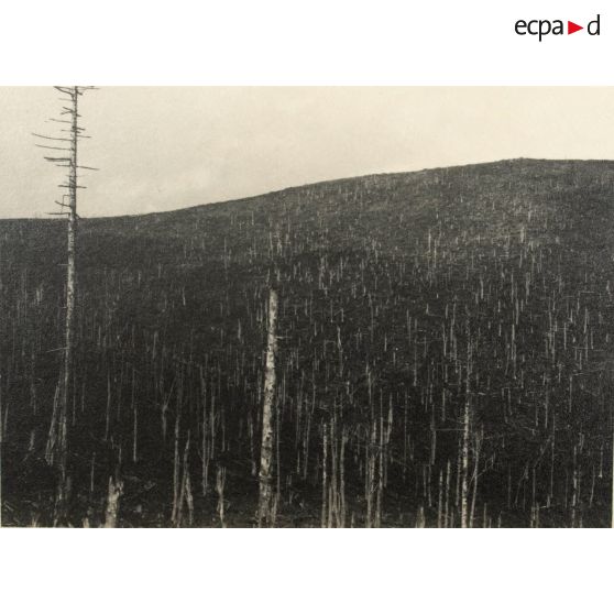 Panorama en trois photos. 1893. Hartmann côté gauche. 2 mars 1919. [légende d'origine]