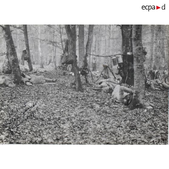 1445. Forêt de Retz. 16 juillet 1918. / N[umér]o 1445. Villers Cotterets. 16 juillet 1918.  [légendes d'origine]