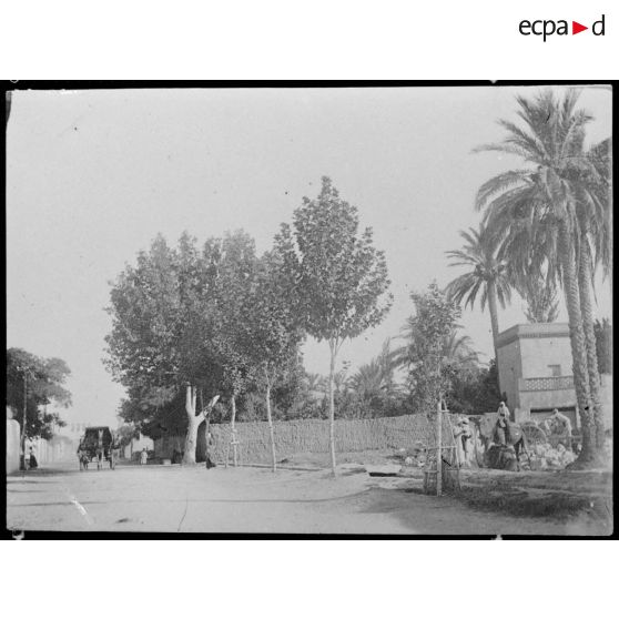 Avenue Cassaigne à Laghouat. [légende d'origine]