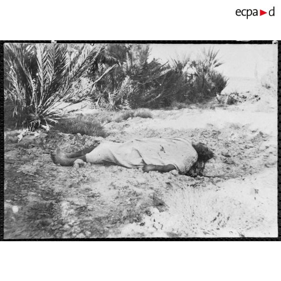 Cadavre marocain dans l'oasis de Tuzzouguerte. [légende d'origine]