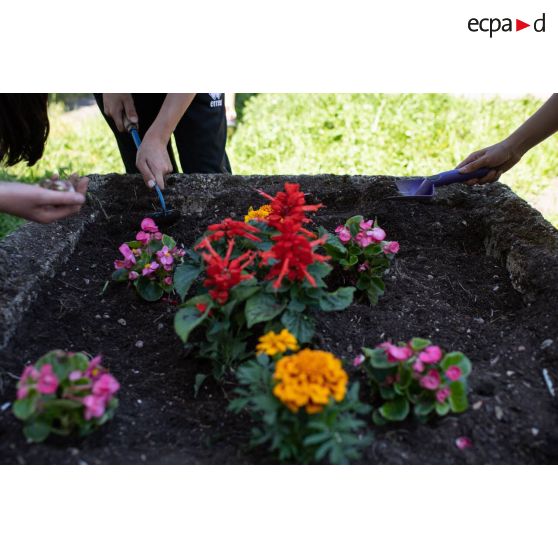 Des collégiens rempotent des fleurs lors d'un atelier de jardinage au lycée militaire d'Autun.