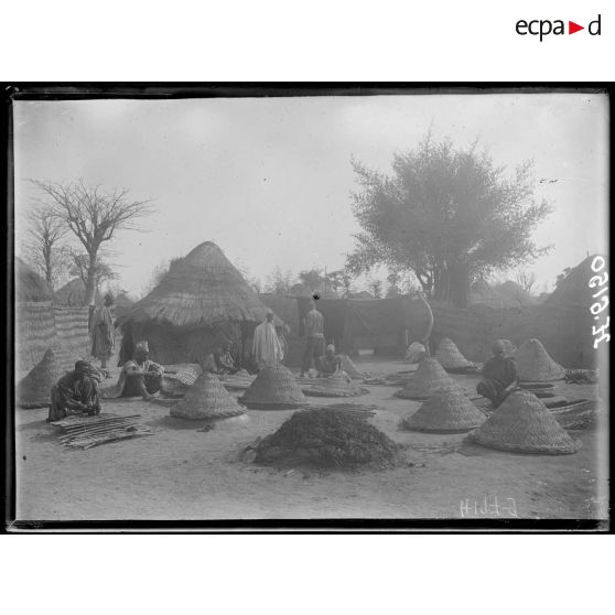 Garoua. La grande teinturerie du village. [légende d'origine]