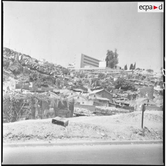 Alger, 20 mai - 5 juillet 1962. Vue prise au cours de patrouilles. Du boulevard du Corps Expéditionnaire près de Diar el maçoul : les drapeaux vert et blancs se multiplient. [légende d'origine]