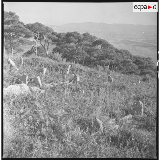 Bou Arbi après le 1er juillet 1962. Cimetière musulman. Tombes anciennes. [légende d'origine]