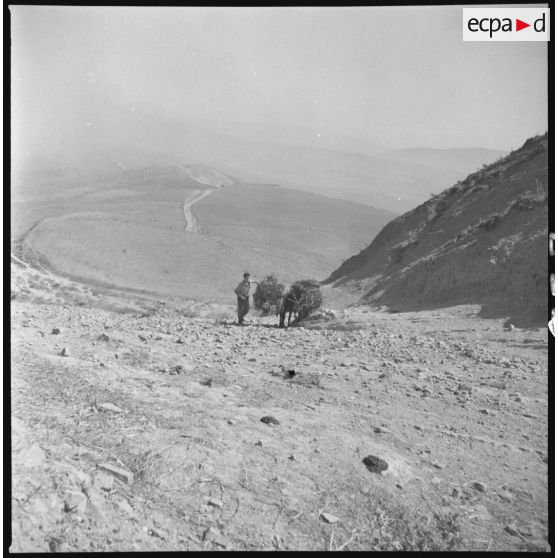 Bou Arbi. D'un côté la mer et derrière le désert ! Juillet-août 1962. [légende d'origine]