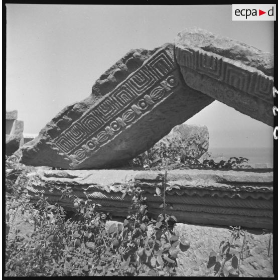 Tigzirt, juillet 1962. Reliefs sculptés de la civilisation romaine, témoin de la présence chrétienne. [légende d'origine]