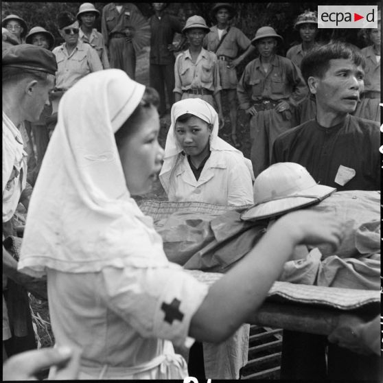 Transport de prisonniers de guerre des troupes de l'Union française sur des brancards au cours d'un échange de prisonniers avec le Vietminh à Viet Tri.